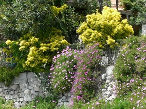 Click here for full details.